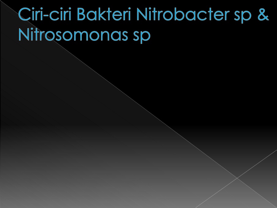 Bakteri nitrosomonas termasuk ke dalam bakteri kemosintetik yang akan mengubah