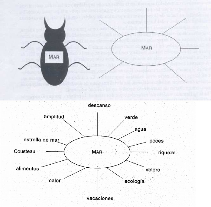 PDF) Modelo Del Escarabajo 