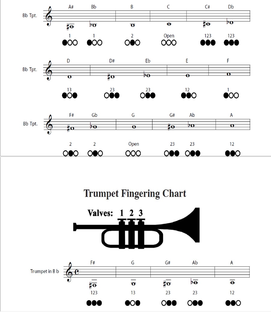 PDF) de Trompeta para principiantes - DOKUMEN.TIPS