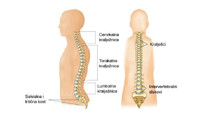artritis i artroza liječenje želatinom koljenog zgloba